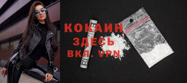 шишки Заводоуковск