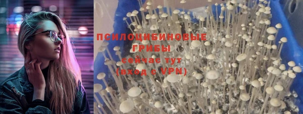 шишки Заводоуковск