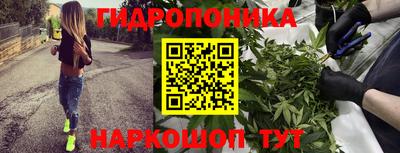 ECSTASY Заволжье