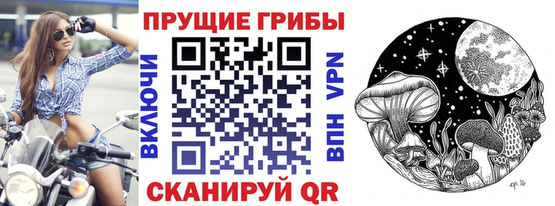 Псилоцибиновые грибы мухоморы  Ленинск-Кузнецкий 