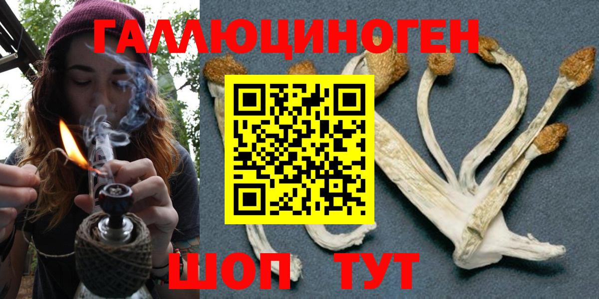 Галлюциногенные грибы мицелий  Вход с VPN  Ленинск-Кузнецкий 