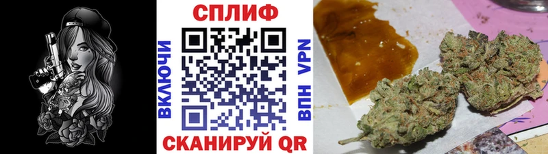Конопля AK-47  Ленинск-Кузнецкий 